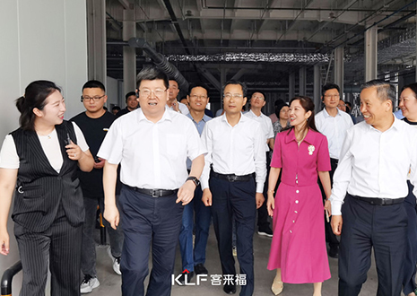 热烈欢迎安徽省淮南市委书记一行调研和记智能家居产业园建设项目
